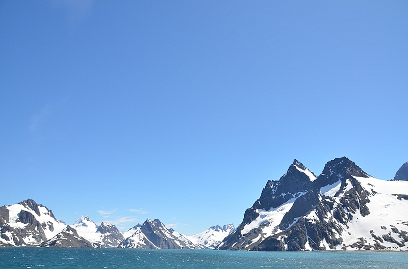 352_Antarctica_South_Georgia_Drygalski_Fjord .JPG